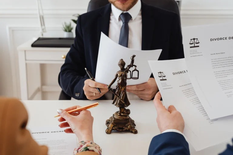 Prepare Immigration Case
